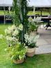 Helen Sheard Floral Designs | Brentwood | Wedding Gallery