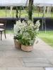 Helen Sheard Floral Designs | Brentwood | Wedding Gallery