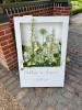 Helen Sheard Floral Designs | Brentwood | Wedding Gallery
