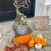 Gifts | Workshops | Workshop: Pumpkin hat arrangement 26th October 2024 @ 2-4pm