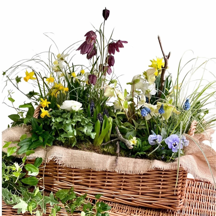 Funeral & sympathy designs | Plantable spray