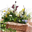 Funeral & sympathy designs | Plantable spray