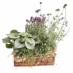 Funeral & sympathy designs | Plantable spray