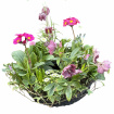 Funeral & sympathy designs | Plantable wreath