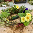 Christmas | Gifts | Workshops | Workshop: Sustainable floristry workshop