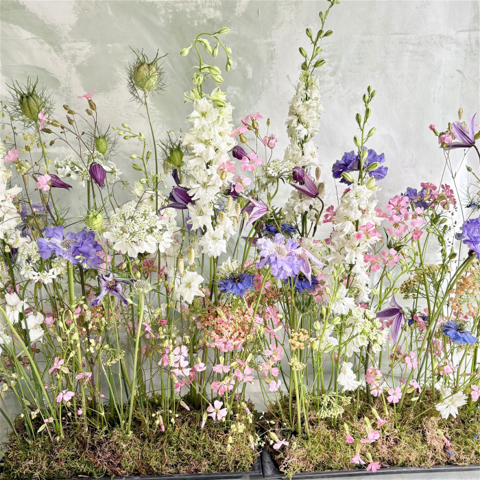 Hand tieds & arrangements | Workshops | Workshop: Summer meadow arrangement