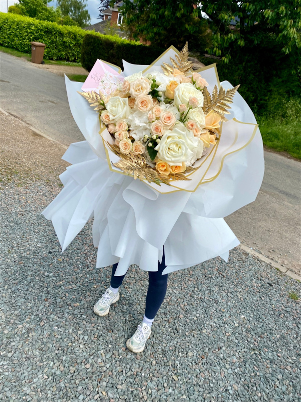 All | Penelopes Secret