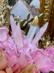 Add on's | Upsell gifts | Feathers (ADD ON)