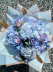 All | Penelopes Baby Blue