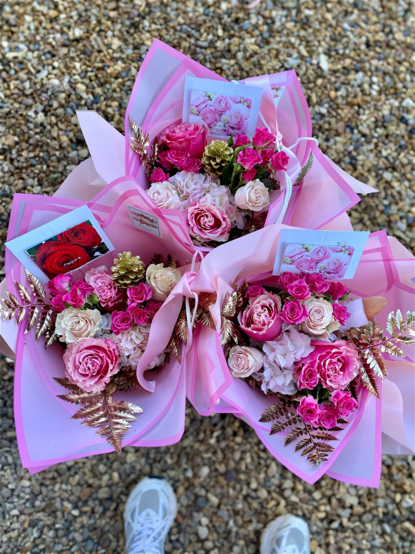 All | Penelopes Pick