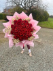 All | Penelopes Red Roses