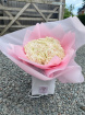 All | Penelopes white roses
