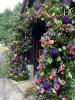 East Kent Flower Company | Ashford | Weddings, Party flowers & Events