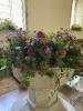 East Kent Flower Company | Ashford | Home