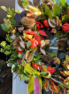 Autumn Flower School Workshops in Kent 2025 | Autumn Wreath-Making