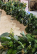Fresh Christmas Wreaths and Garlands | Christmas Garlands