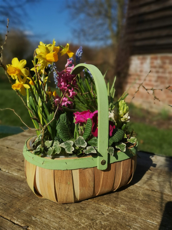 Mothering Sunday Flowers and Plants | 'Delight'