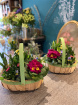 Mothering Sunday Flowers and Plants | 'Delight'