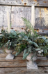 Fresh Christmas Table Arrangements Hand-made and delivered in Kent | Bespoke Orders