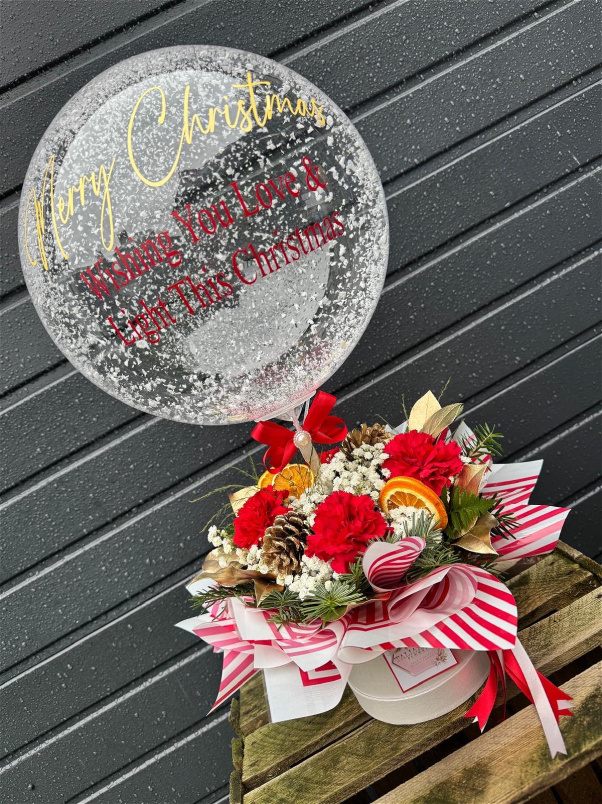 Christmas | Snow Globe