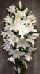 All Funeral Tributes | Casket sprays | Lily Casket Spray