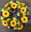 All Funeral Tributes | Posies / Wreaths | Gerbera Wreath