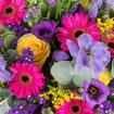 All Funeral Tributes | Florist Choice Funeral Arrangements | Posies / Wreaths | Florist choice - Wreath