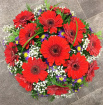 All Funeral Tributes | Posies / Wreaths | Gerbera Posy