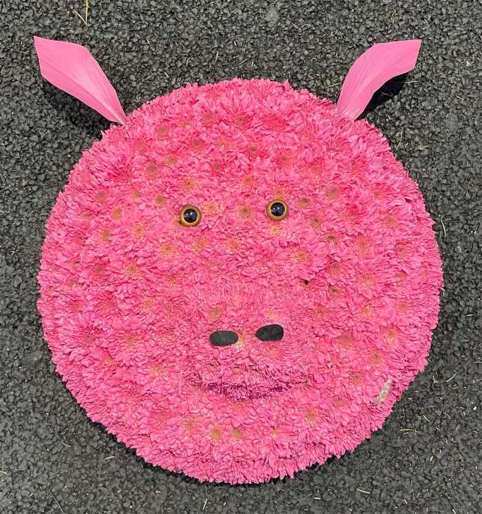 All Funeral Tributes | Specialist Tributes | Pig Face