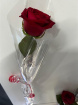 All Funeral Tributes | Sheaves / Roses | Single long stem roses