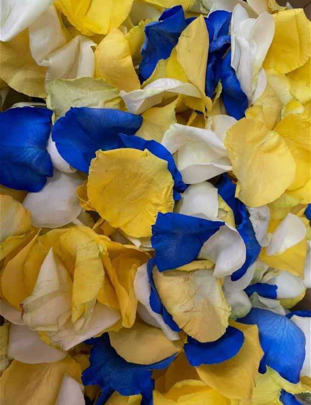 All Funeral Tributes | Sheaves / Roses | Fresh rose petals