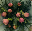 Gift Flowers | Peonies