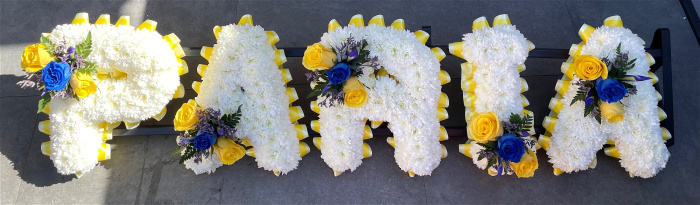Letters / Numbers | Massed letters double Ribbon