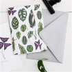 Gifts & Vouchers | Catherine Lewis Houseplants            Card