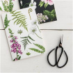 Gifts & Vouchers | Catherine Lewis Foxgloves & Ferns Card