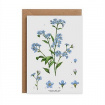 Gifts & Vouchers | Catherine Lewis Forget-Me-Not