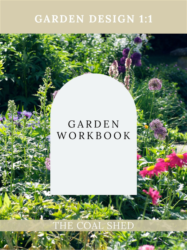 Workshops & Classes | Garden Design (1:1 Workshop)