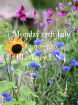 Workshops & Classes | Growing Cut Flowers For Arranging - Beginners