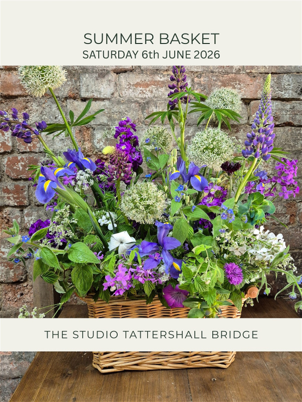 Workshops & Classes | Summer Basket - Studio, Tattershall Bridge