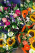 Christmas Collection | Father's Day | Floral Gift Selection | International Ladies Day - Saturday 8th March | International Mother's Day  | Mothering Sunday - 30th March 2025 | New Baby | Same Day Delivery/Collection | Valentine's Day - Friday 14th February | Seasonal Selection Bouquet (without lilies)