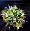 CHRISTMAS 2024  | Snowing Lilies