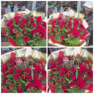 CHRISTMAS 2024  | Roses and Berries
