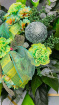 BOUQUETS | Mojito