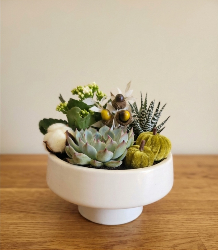Arrangements | Plants | Autumn Harvest Pedestal Bowl
