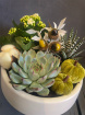 Arrangements | Plants | Autumn Harvest Pedestal Bowl