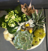 Arrangements | Plants | Autumn Harvest Pedestal Bowl