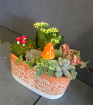 Arrangements | Plants | The Enchanted Toadstool Garden
