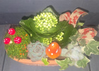 Arrangements | Plants | The Enchanted Toadstool Garden