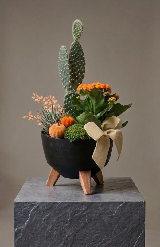 Arrangements | Autumn | Plants | Autumn Succulent & Cactus Table Centerpiece | Handcrafted Botanical Arrangement