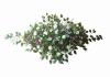Ocean Song Flowers and Gifts | Stalybridge | Sympathy in Silk